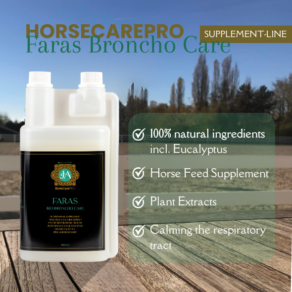 Horse Feed Supplements Equine Feed Supplements for Horse Cough Treatment