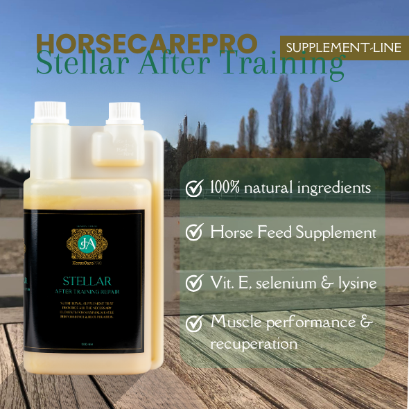 Horse MuscleBuilding Supplements STELLAR After Training Repair
