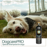RINGO* premium 2 in 1 Shampoo & Conditioner