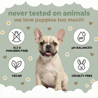 Dog sitting on a green background with product benefits icons and text. horsecarepro