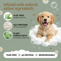 Dog lying on a cloud of bubbles with natural ingredients and benefits listed on a green background horsecarepro
