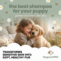 Child holding a puppy with promotional text for DogcarePRO shampoo on a light green background with flowers.