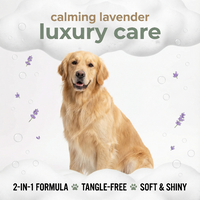 Dog sitting on a cloud with lavender flowers and text about calming lavender luxury care. Dogcarepro