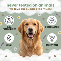 Dog with green background and ethical branding icons, including vegan, cruelty-free, and biodegradableh. Dogcarepro
