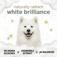 White dog with 'naturally radiant white brilliance' text and product benefits on a light gray background.