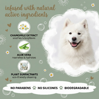 White dog with natural product ingredients and benefits on a green background