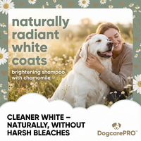 Woman petting a white dog in a field with text about DogcarePRO shampoo.