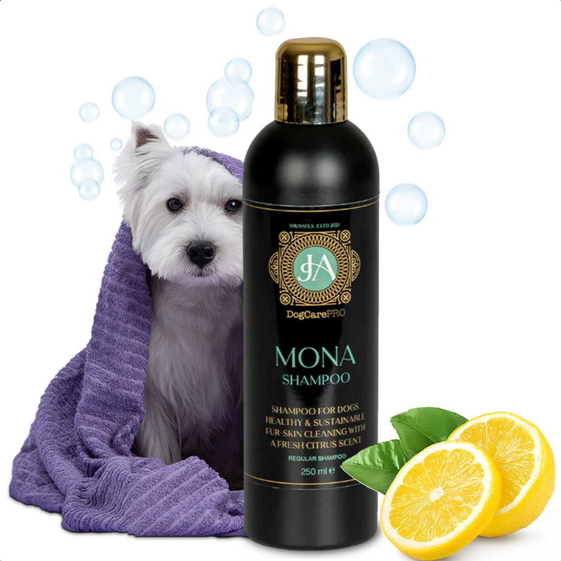 MONA Shampoo