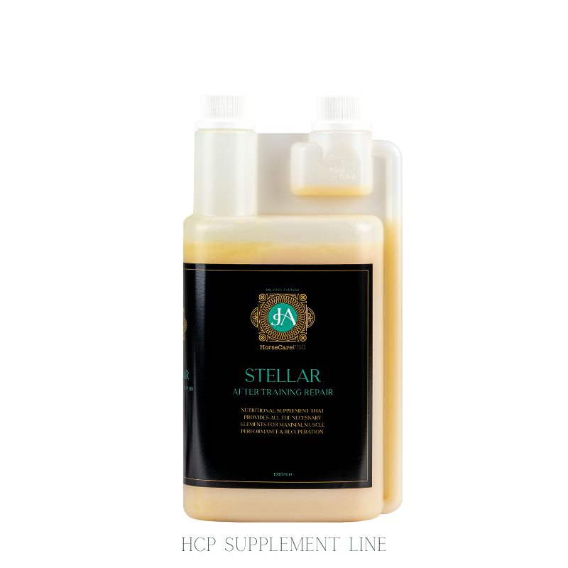 Horse MuscleBuilding Supplements STELLAR After Training Repair