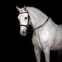 GOLDIE Shampoo for white horses at €26 | Horsecarepro - beautiful white horse - greys - schimmel