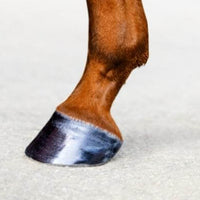 PRINCESS Bio Hoofcare at €29 | Horsecarepro - shiny hoofs - verzorgde paardenhoeven