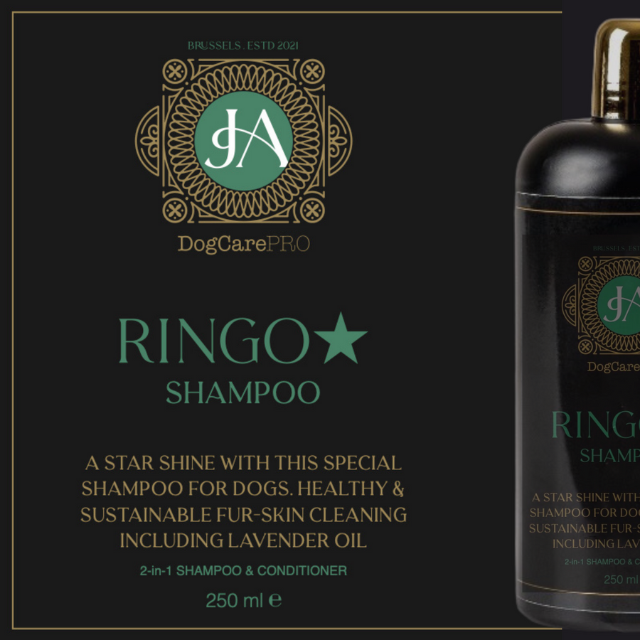 RINGO* premium 2 in 1 Shampoo
