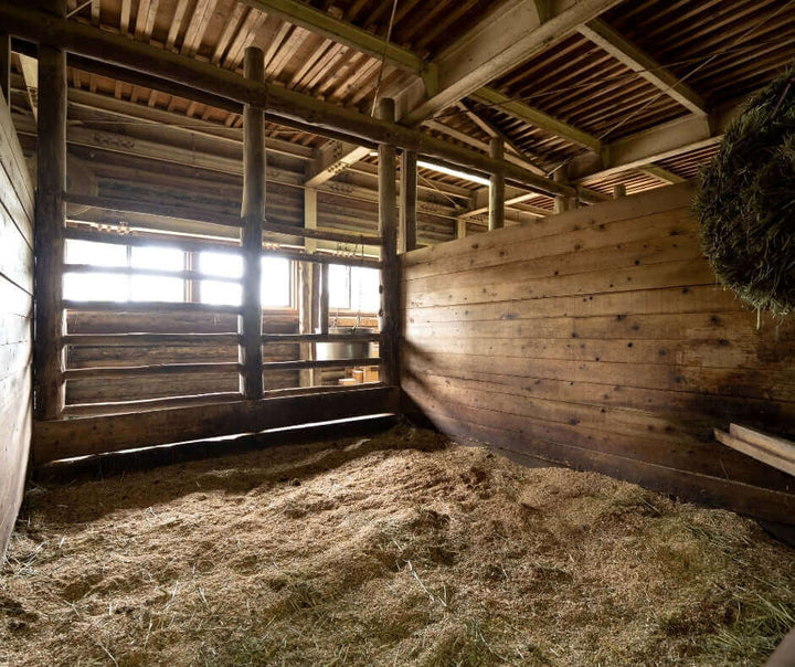 all about good barn quality. How cleaning your stable