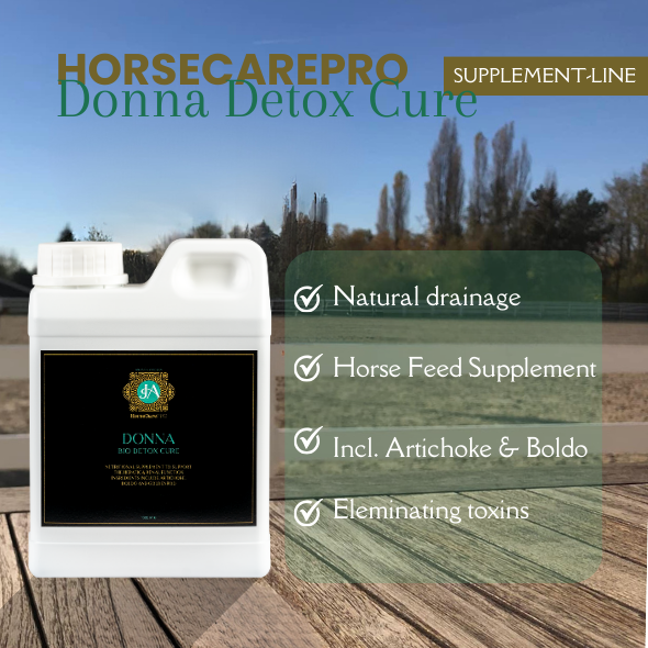 DONNA Bio Detox Cure