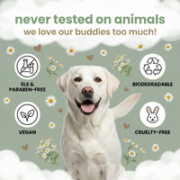 White dog with green background and ethical branding icons