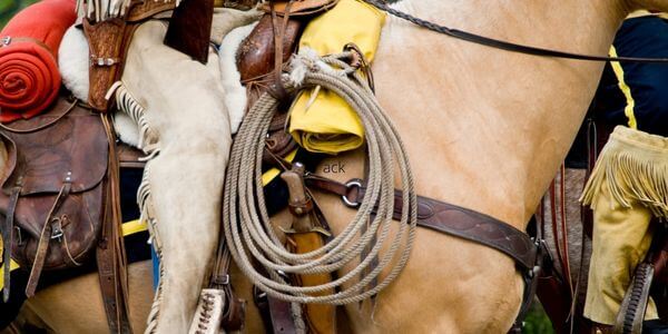 cowboy - western riding - western rijden