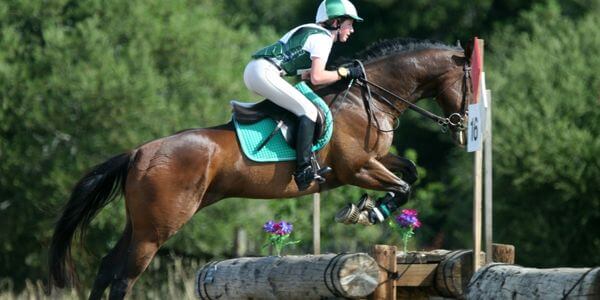 Cross Country- Jumping - Eventing