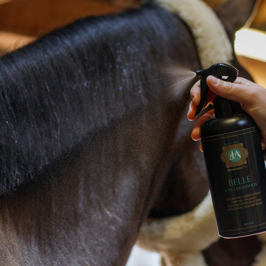 horse care products