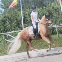 GOLDIE Shampoo for white horses at €26 | Horsecarepro - amber moors op goldie