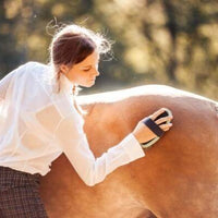 MILADY Bio Skincare at €29 | Horsecarepro - conditioner for horses - oils - paarden