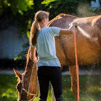 JOLIE Shampoo at €22 | Horsecarepro - cleaning the horse - horsecleaning