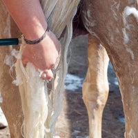 GOLDIE Shampoo for white horses at €26 | Horsecarepro