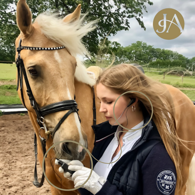 HorsewhispererPRO 1 - Instruction System - Extra transmitter